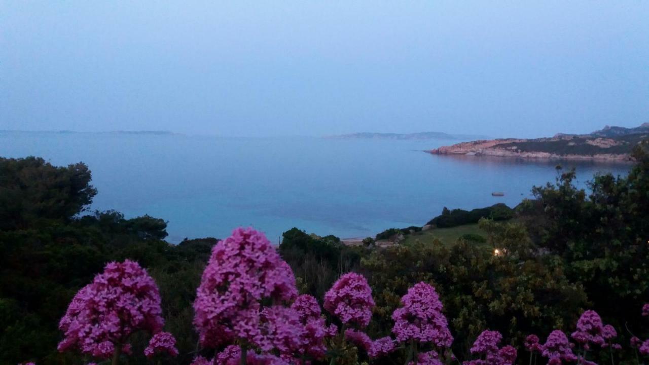 Appartamento Fronte Mare Санта-Тереза-Галлура Экстерьер фото